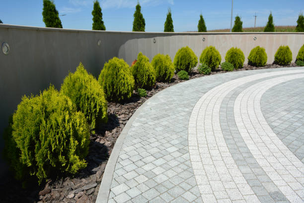 Best Brick Driveway Pavers  in Glendive, MT
